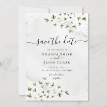 Folhagem Verde Botânico Salvia Rústico Com Foto