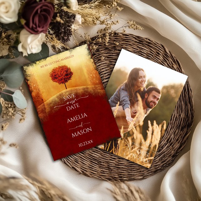 Reserve A Data Foto da Árvore de Outono Salvar a Data (Photo Autumn Save our Date Card)