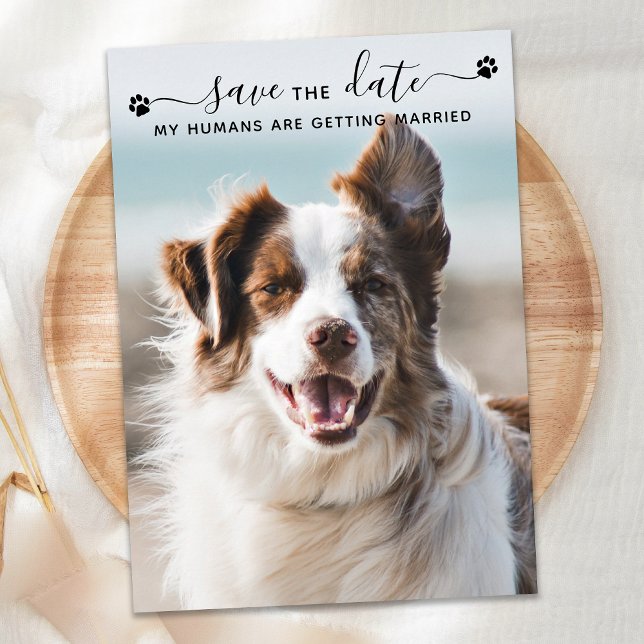 Reserve A Data Foto de Pet personalizada de Casamento de Cachorro (Criador carregado)