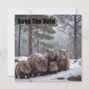 Reserve A Data Frozen Burrow: Família de Wombat Australiana