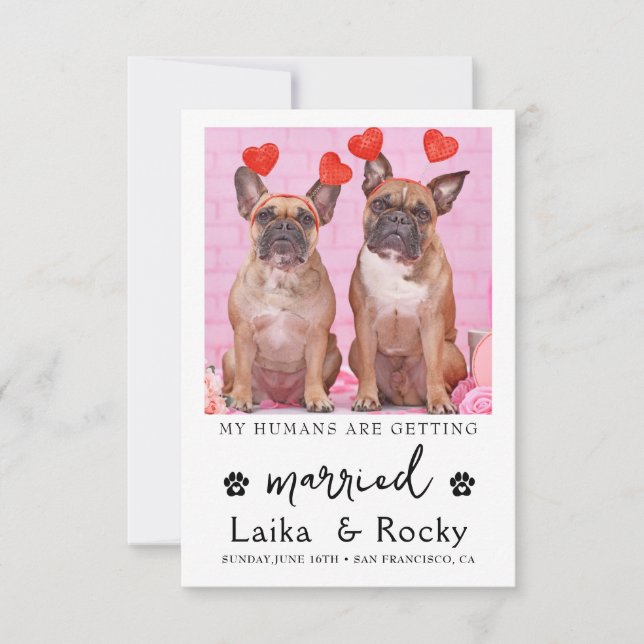 Reserve A Data Funny Dog Wedding Invitation (Frente)