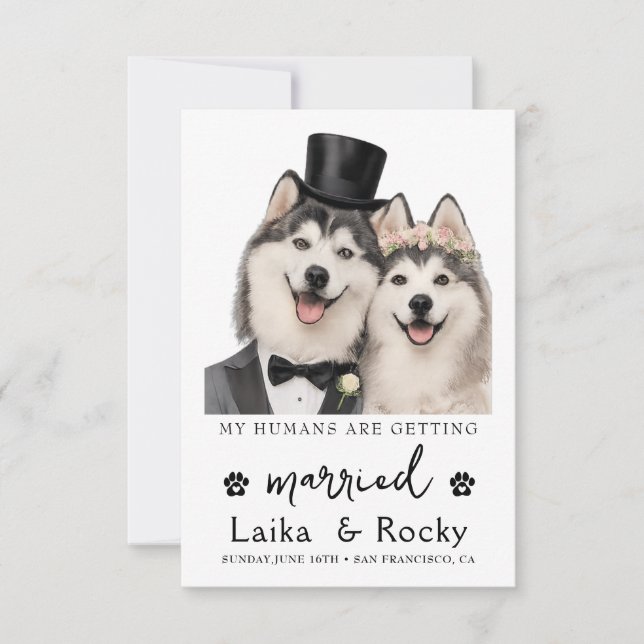 Reserve A Data Funny Dog Wedding Invitation (Frente)