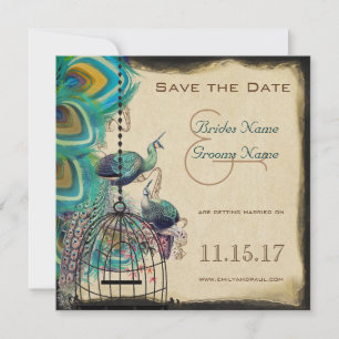Reserve A Data Gaiola de Pássaros Pavão Musical Save the Date de