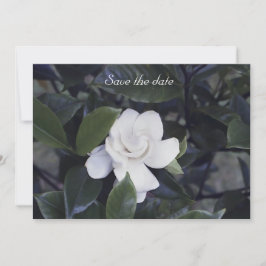 Reserve A Data Gardenia Floral Salve A Placa De Data