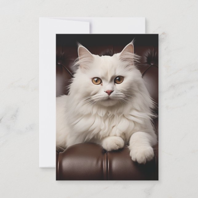 Reserve A Data Gato branco majestoso (Frente)