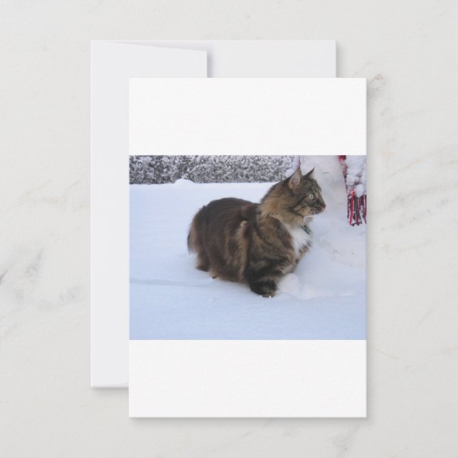 Reserve A Data gato floresta norueguesa na neve (Frente)