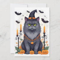 Gato Halloween Bela Cartografia Animal Engraçada A