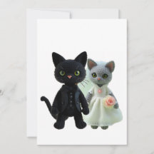Gatos do casamento