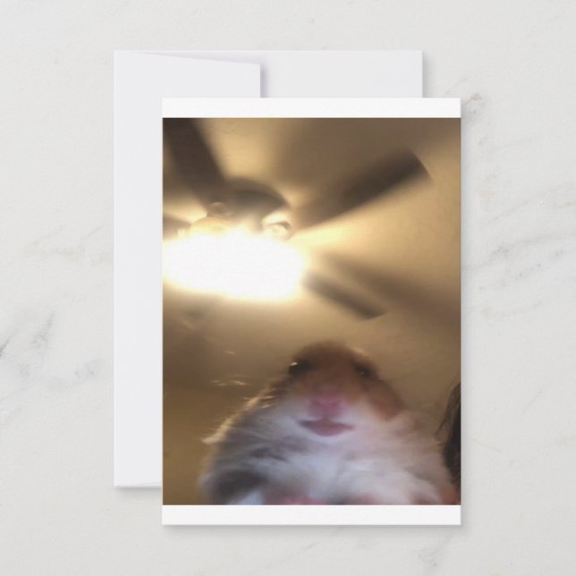 Reserve A Data Hamster Staring Meme (Frente)