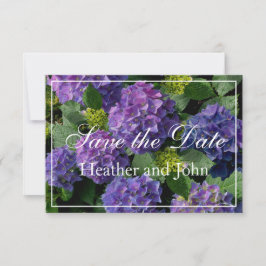 Reserve A Data Hortênsias roxas azuis pervinca