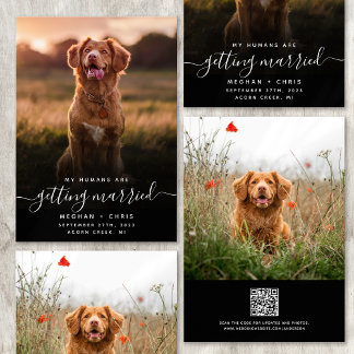 Reserve A Data Humanos Casando Foto com Código QR