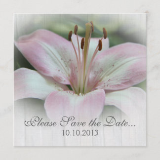 Reserve A Data Lily Rosa Guardar a data