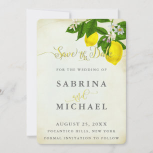 Reserve A Data Limões Vintage Watercolor Salvem a Data