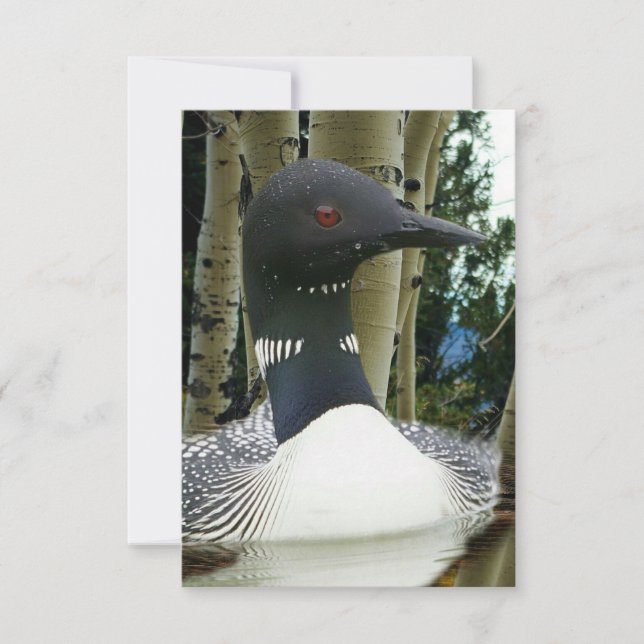 Reserve A Data Loon Wilderness (Frente)