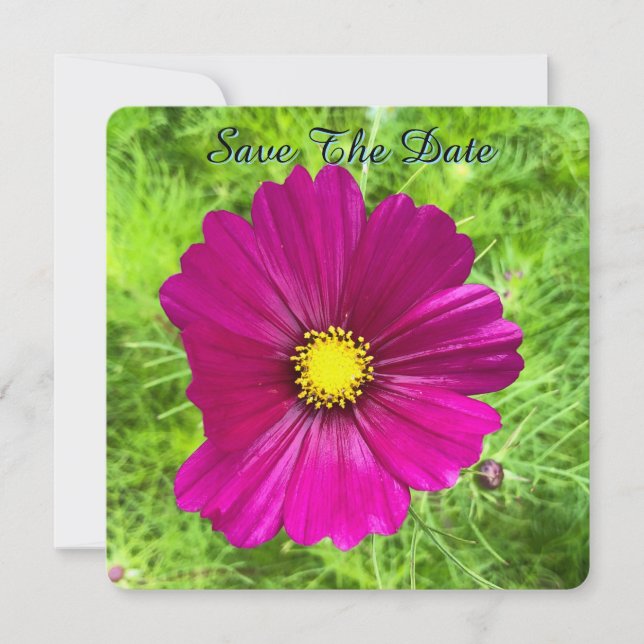 Reserve A Data Mind Edition: Cosmos Salve A Data (Frente)