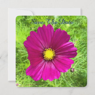 Reserve A Data Mind Edition: Cosmos Salve A Data