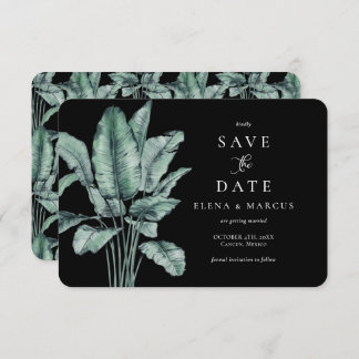 Reserve A Data Monstera Tropical Salva A Data