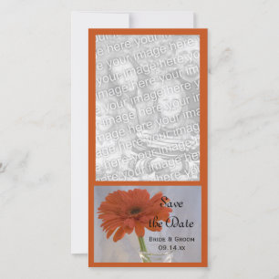 Reserve A Data Orange Daisy em Vase Wedding Salvar Data