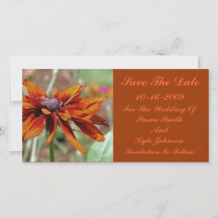 Reserve A Data Orange Daisy Flower Weding Date (Casamento De Flor