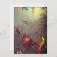 Orquídea de Cattleya e três beija-flores