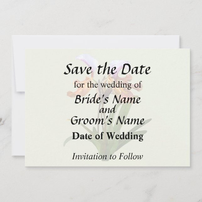 Reserve A Data Orquídeas Paphiopedilum Entrelaçadas (Frente)