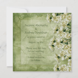 Reserve A Data Os cravos brancos e verdes salvar a data