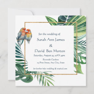 Reserve A Data Papagaio Lovebird Natureza Tropical Salve a Data