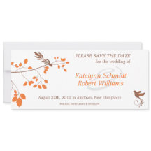 Pássaros em um galho Laranja e Castanho Salvar a D