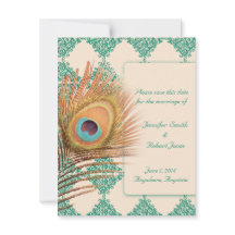 Peacock Feather sobre o Teal Azulejo marroquino