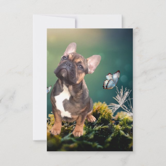 Reserve A Data Postkarte französische  Bulldogge  (Frente)