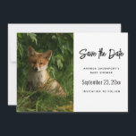 Reserve A Data Raposa-bebê-branca numa Floresta Verde<br><div class="desc">Guarde o cartão de ponto com uma fotografia com uma raposa de bebê fox fofa e pele vermelha e branca. Cercados por folhas e gramíneas verdes e peludas.</div>