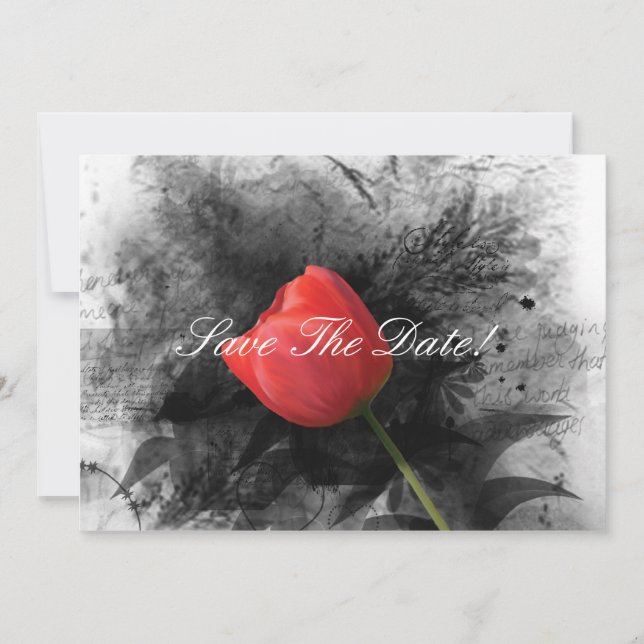 Reserve A Data Red Tulip Salve A Data (Frente)