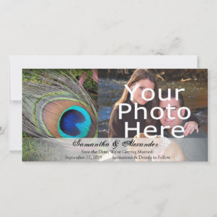 Reserve A Data Rich Peacock Feather com Green Moss