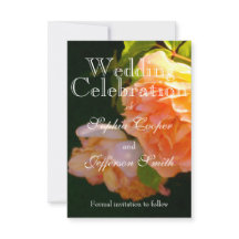 Rosas de pêssego laranja Elegante