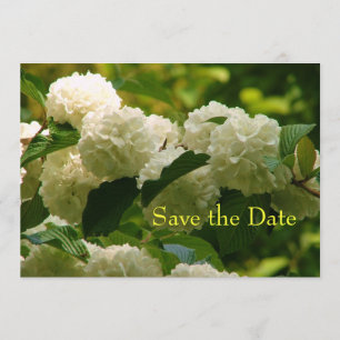 Reserve A Data Salvar a data