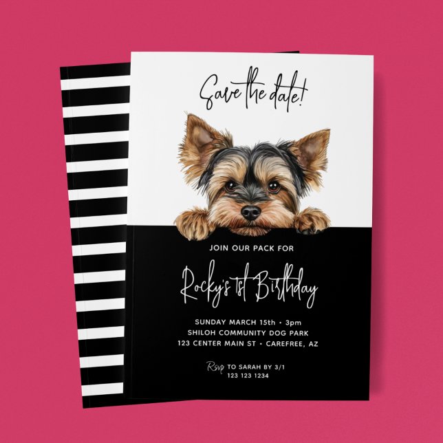 Reserve A Data Salve a Data Yorkshire Terrier Cão 1º Aniversário (Criador carregado)