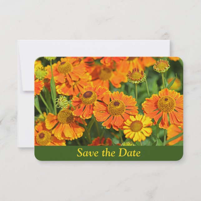 Reserve A Data Surpresa de Aniversário de Jardim de Flores de Sne (Frente)