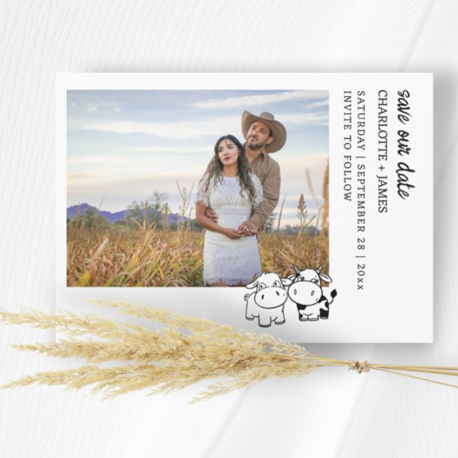 Reserve A Data Vamos Dizer Que Eu Moo Vaca Do País (We Will Say I Moo Country Cow Themed Save The Dates from Ricaso. Whimsical cow couple fun cards)