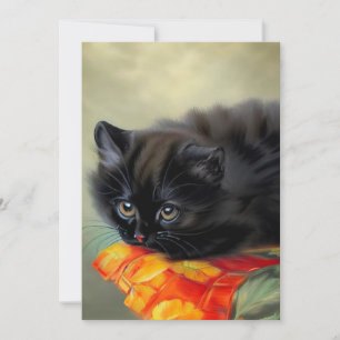 Reserve A Data Vintage Black Kitten com Red Flower Blanket