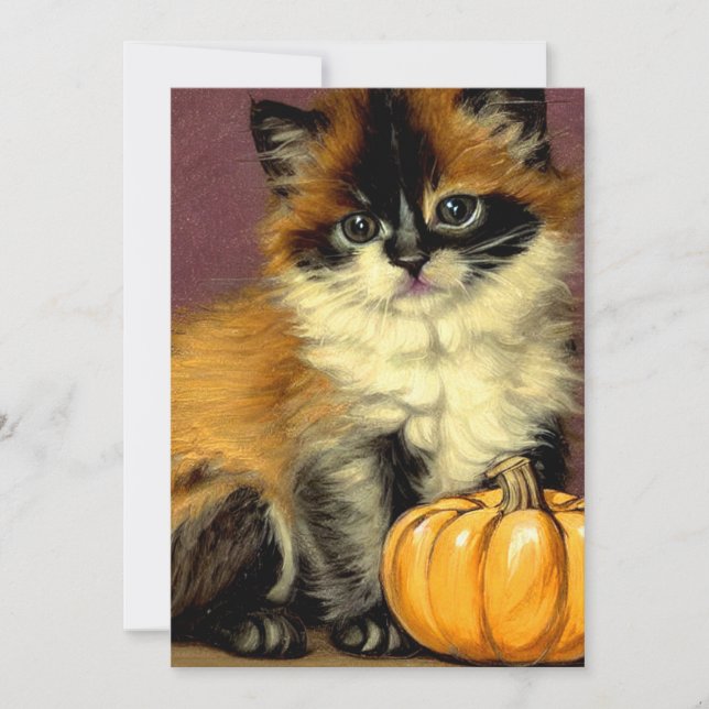 Reserve A Data Vintage Ragdoll Halloween Cat (Frente)