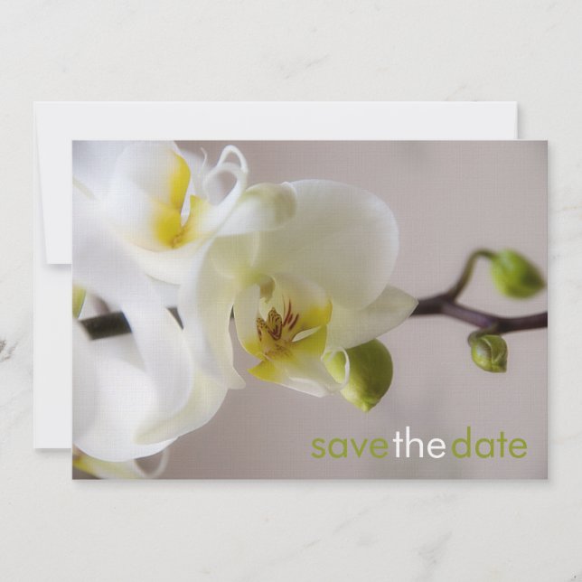 Reserve A Data Weiße Orchidee ・ Salve a Karte de Data (Frente)
