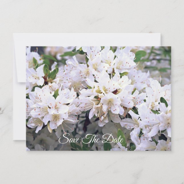 Reserve A Data White Azalea Flat Save The Date Card (Frente)