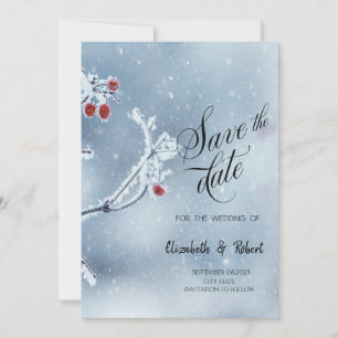 Reserve A Data Winter Wonderland Branch Blue Save the Date (Salve