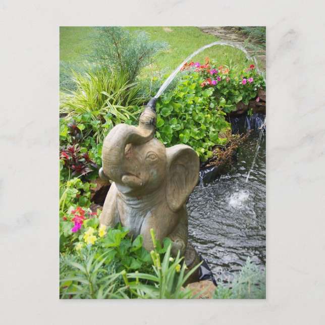 Resfriamento do cartão postal (Frente)