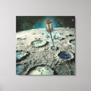 RESILIENCIAR CANVAS   m3galeryStudio