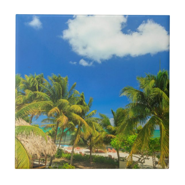 Resort de praia tropical, Belize (Frente)