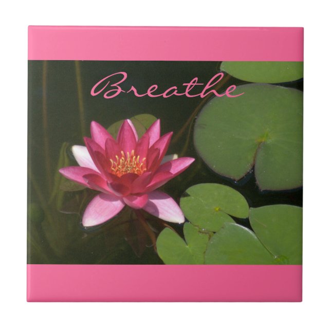 "Respira" Lente rosa do Lotus (Frente)