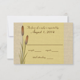 Resposta do Lago Cattail