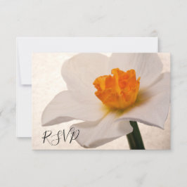 Resposta RSVP de Casamento de Daffodil Primavera B