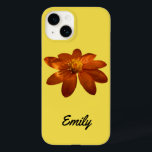 Ressonância sobre o Surgimento Mexicano de Laranja<br><div class="desc">Há momentos especiais da manhã e da noite em que os feixes de luz tocam na natureza. Esta cena da natureza mostra luz solar iluminando mal uma flor de laranja revestida de orvalho matinal. Esta flor parece ser da família Tithonia, mais conhecida como girassol mexicano. Esta foto também é apresentada...</div>